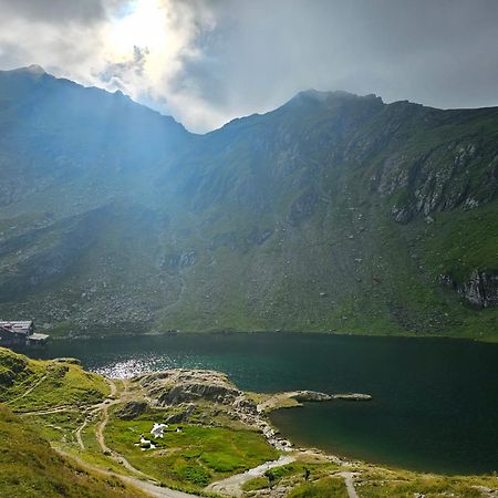 Casa Oaspeti Transfagarasan Lejlighed Cîrţişoara Eksteriør billede