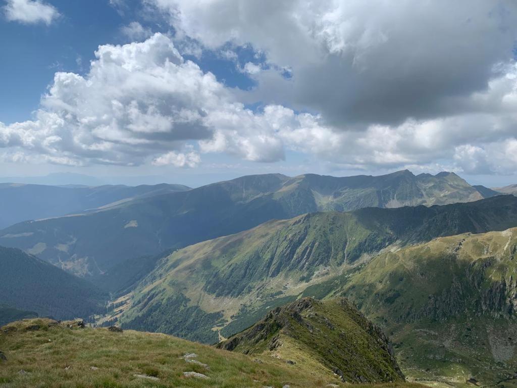 Casa Oaspeti Transfagarasan Lejlighed Cîrţişoara Eksteriør billede