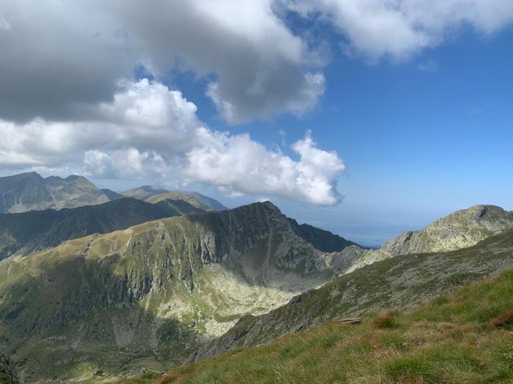 Casa Oaspeti Transfagarasan Lejlighed Cîrţişoara Eksteriør billede