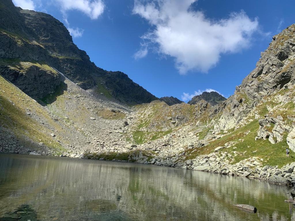 Casa Oaspeti Transfagarasan Lejlighed Cîrţişoara Eksteriør billede