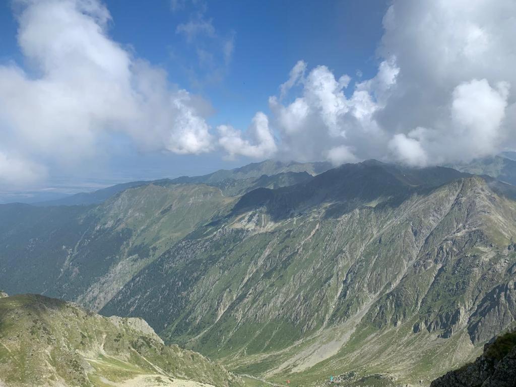 Casa Oaspeti Transfagarasan Lejlighed Cîrţişoara Eksteriør billede