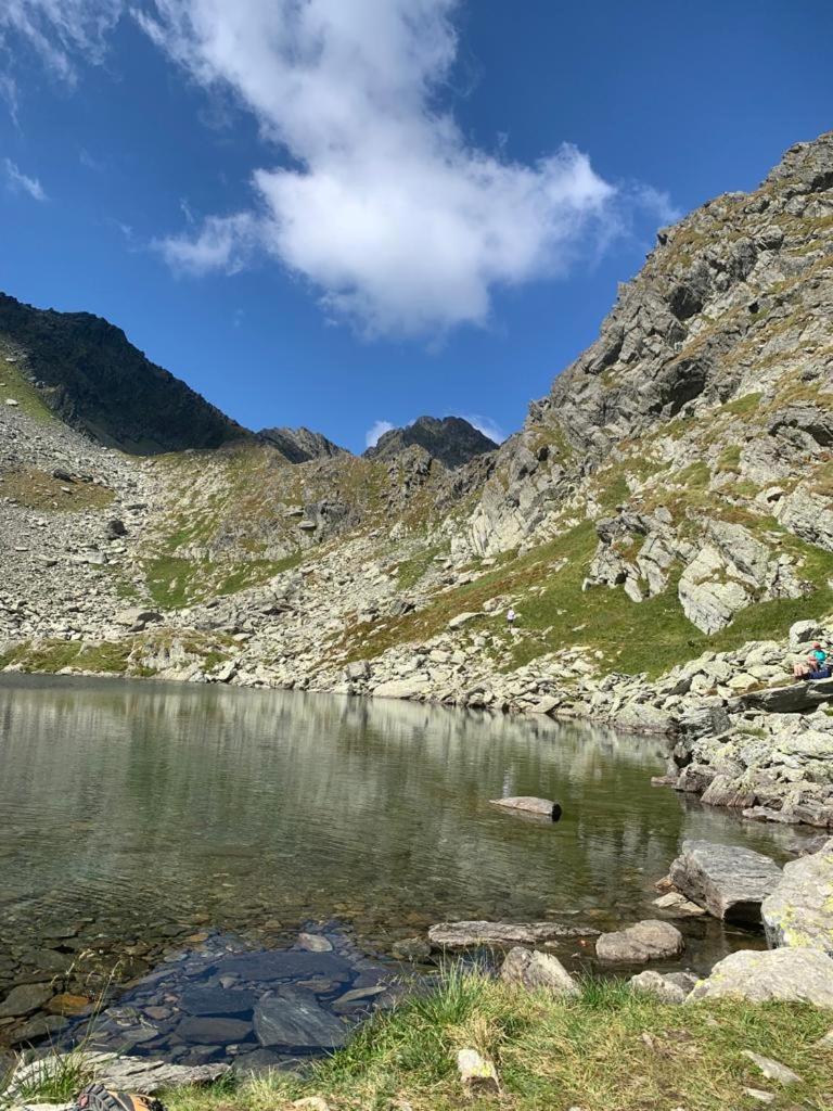 Casa Oaspeti Transfagarasan Lejlighed Cîrţişoara Eksteriør billede