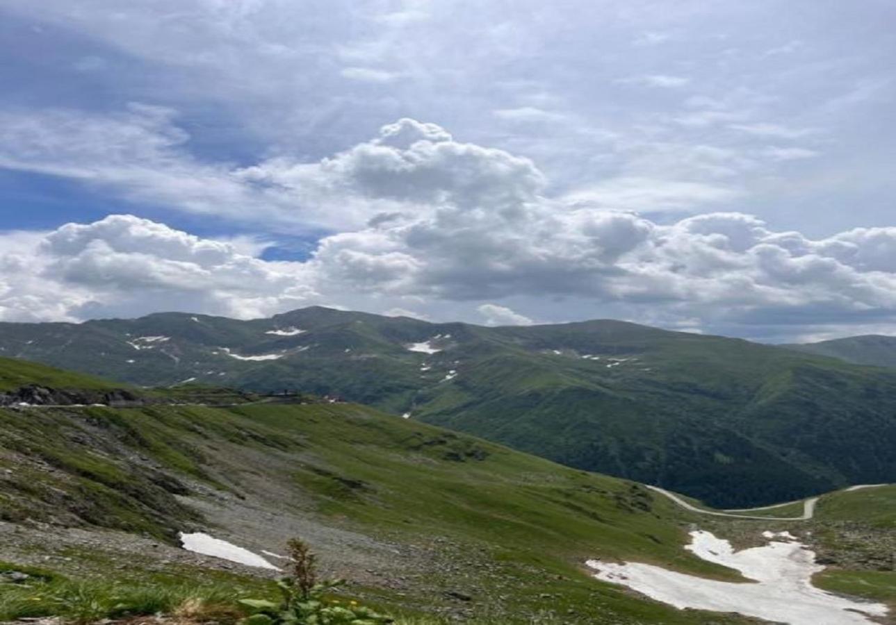 Casa Oaspeti Transfagarasan Lejlighed Cîrţişoara Eksteriør billede