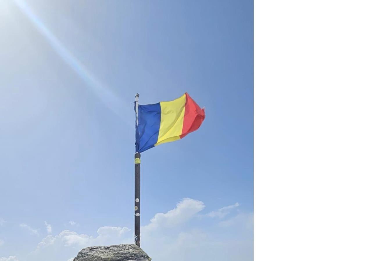 Casa Oaspeti Transfagarasan Lejlighed Cîrţişoara Eksteriør billede
